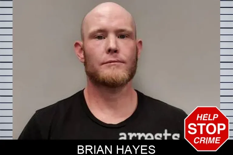 Brian Hayes