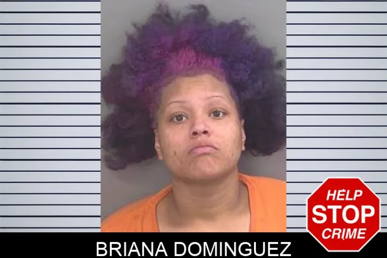 Briana Dominguez