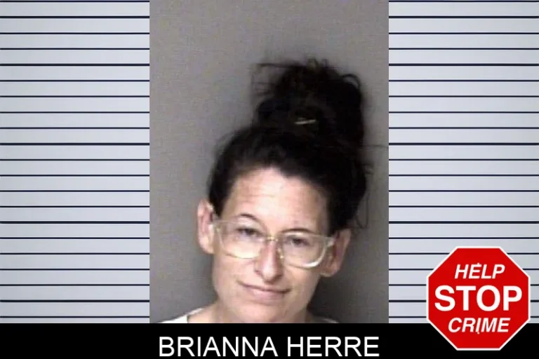 Brianna Herre