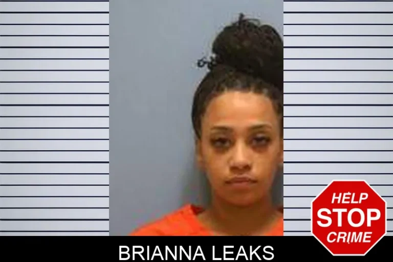 Brianna Leaks