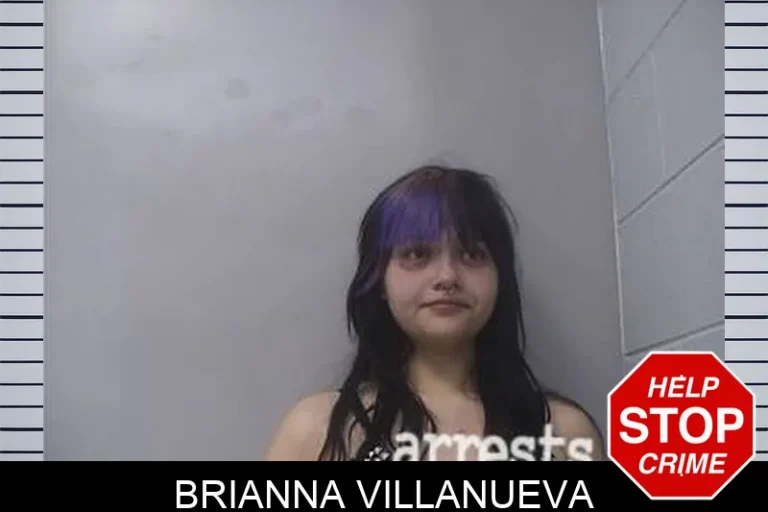 Brianna VillanuEva