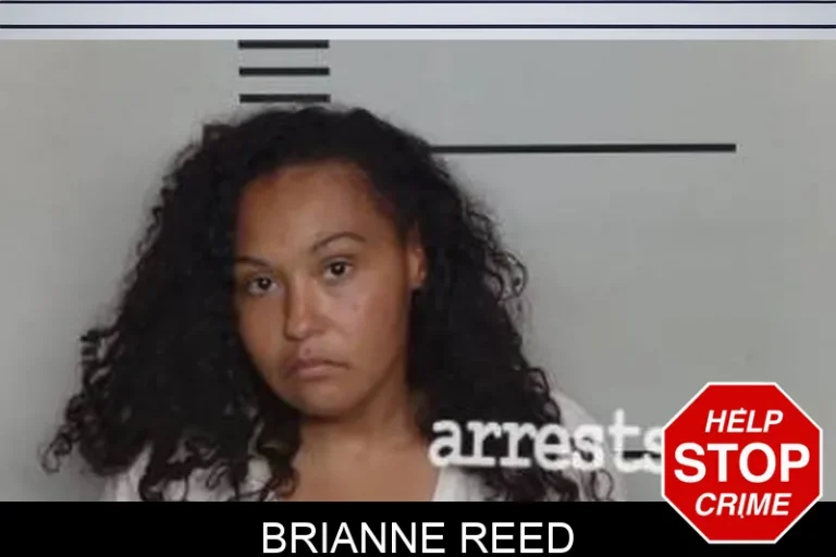 Brianne Reed