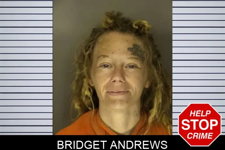 Bridget Andrews