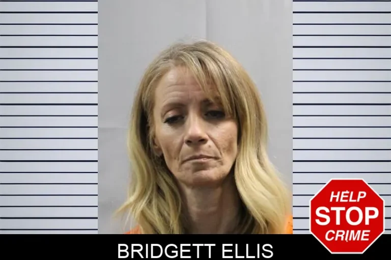 Bridgett Ellis