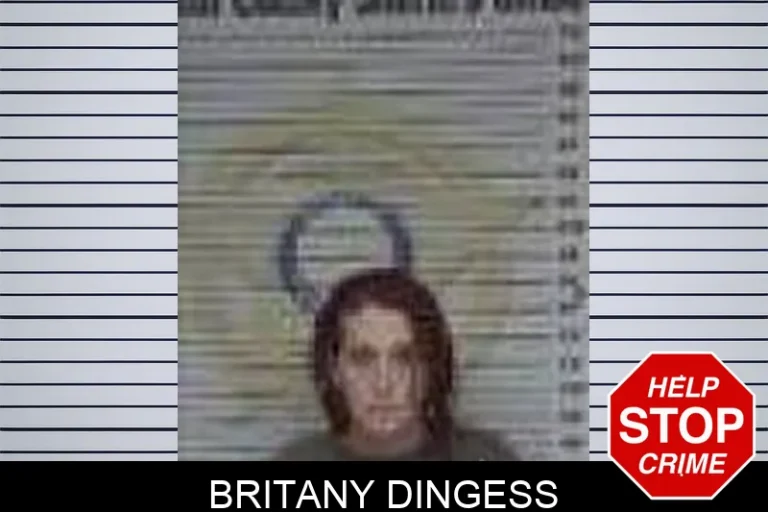 Britany Dingess