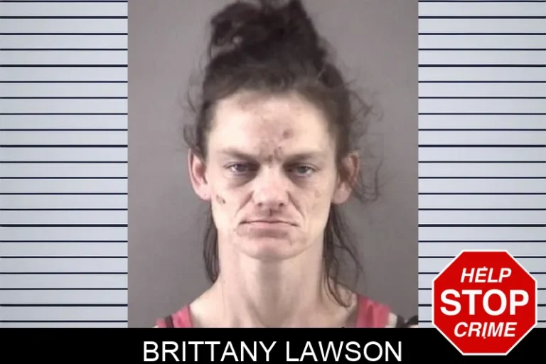 Brittany Lawson