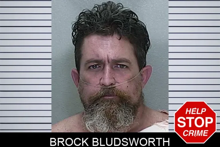 Brock BluDsworth