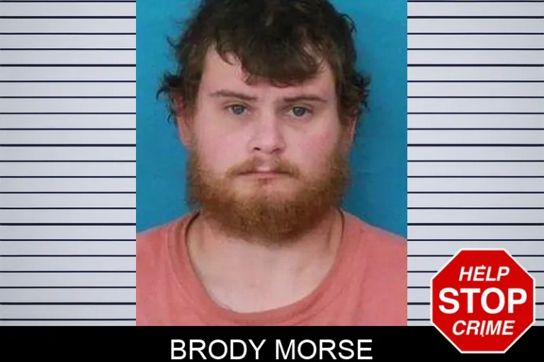 Brody Morse