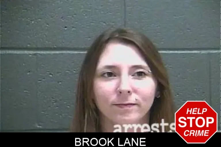Brook Lane