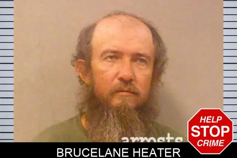 BruceLane Heater