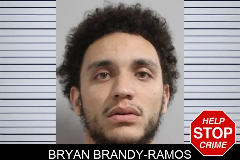 Bryan Brandy-Ramos
