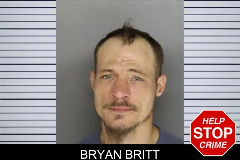 Bryan Britt