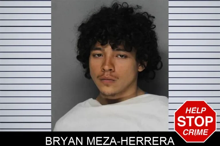 Bryan Meza-Herrera