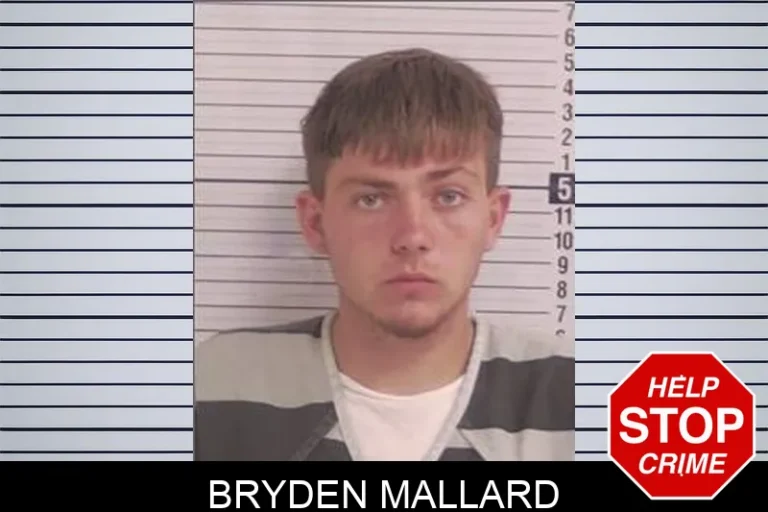 Bryden Mallard