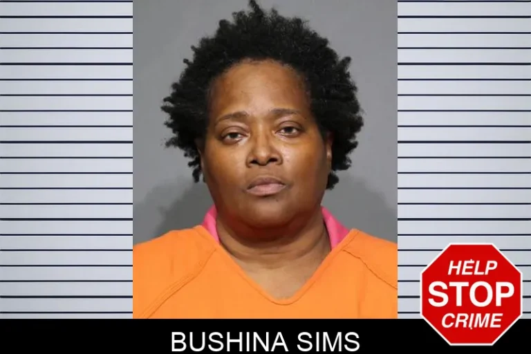 BuShina Sims