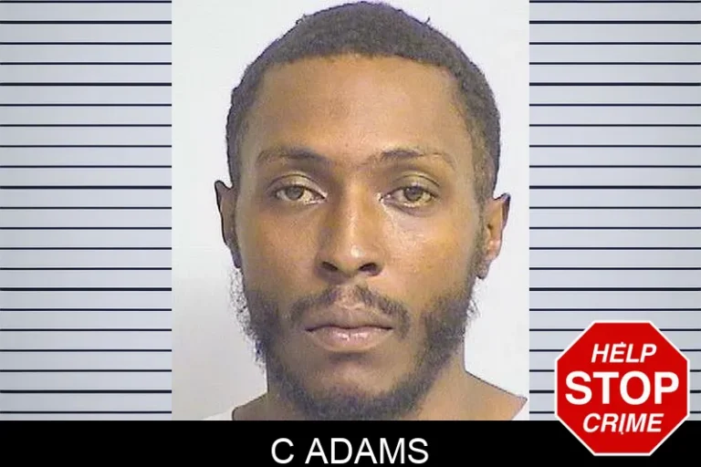 C Adams