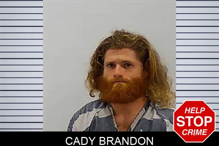 Cady Brandon