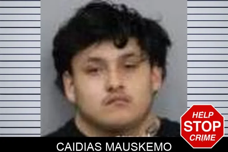 Caidias Mauskemo