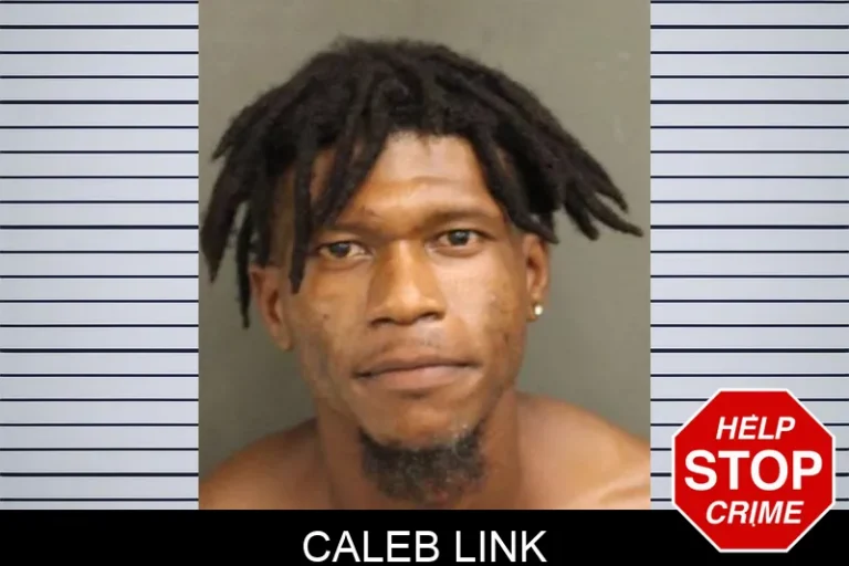 Caleb Link