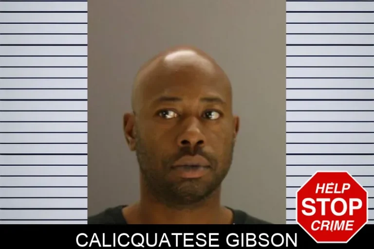 Calicquatese Gibson