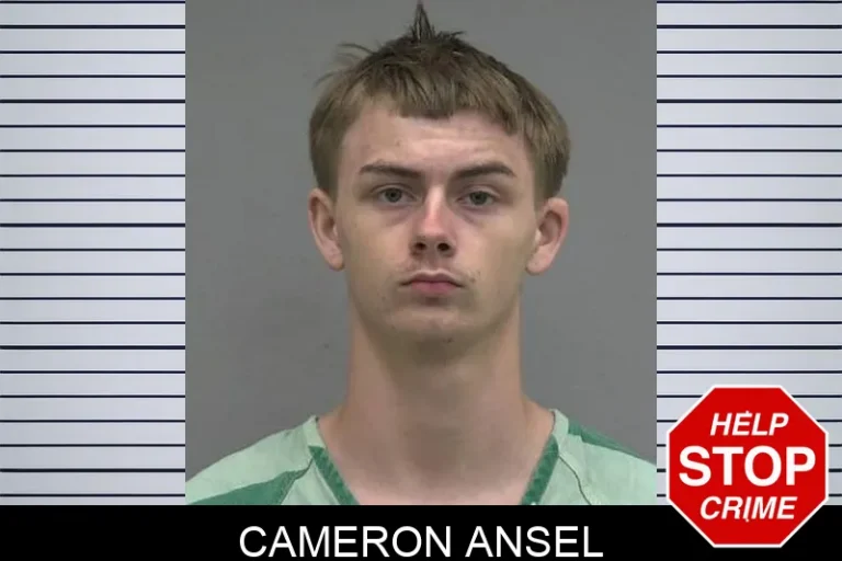 Cameron Ansel