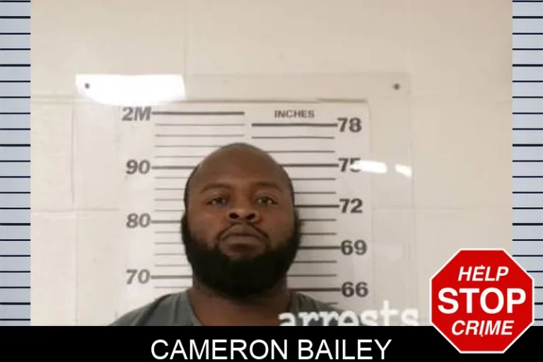 Cameron Bailey