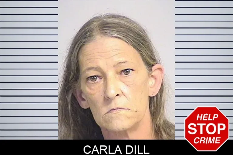 Carla Dill