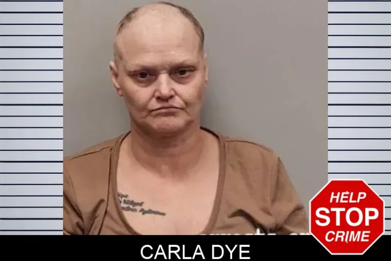 Carla Dye