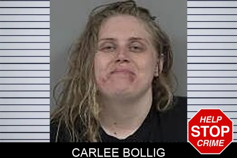 Carlee Bollig