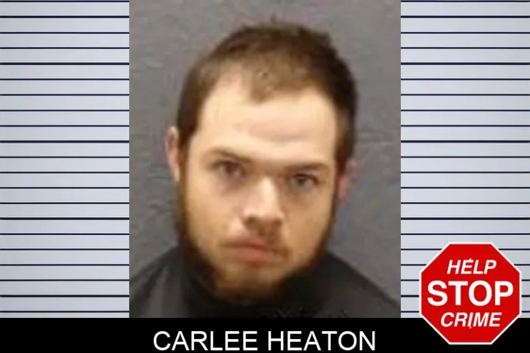 Carlee Heaton