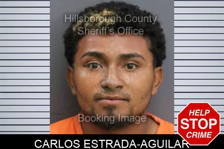 Carlos Estrada-Aguilar