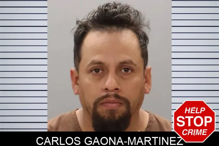 Carlos Gaona-Martinez