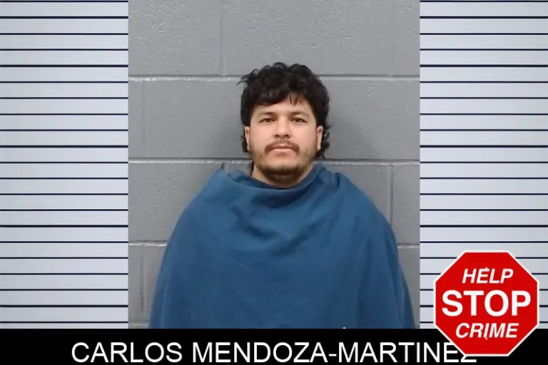 Carlos Mendoza-Martinez