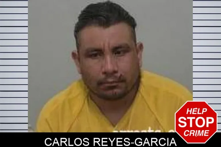 Carlos Reyes-Garcia