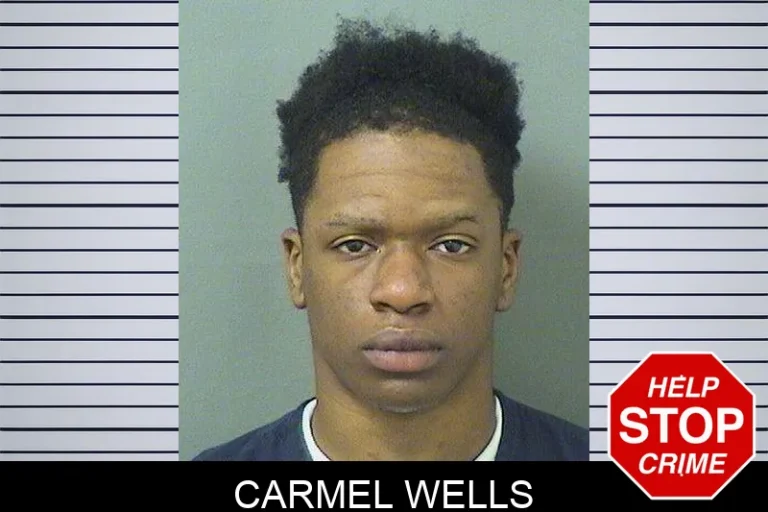 Carmel Wells