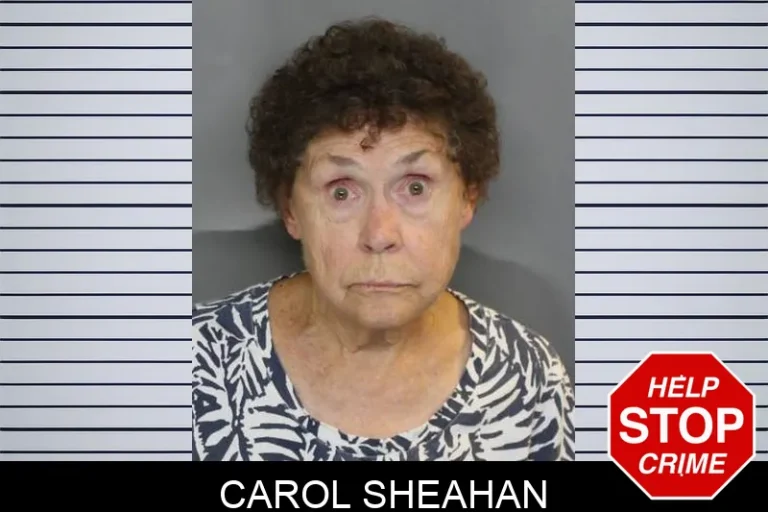 Carol Sheahan