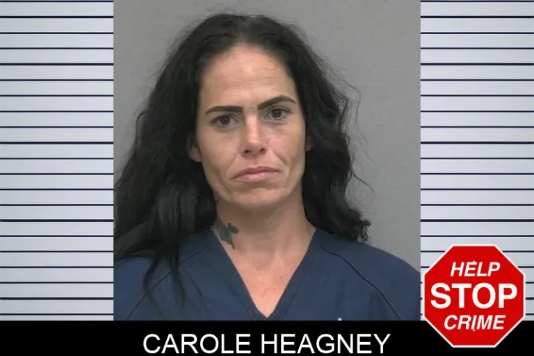 Carole Heagney