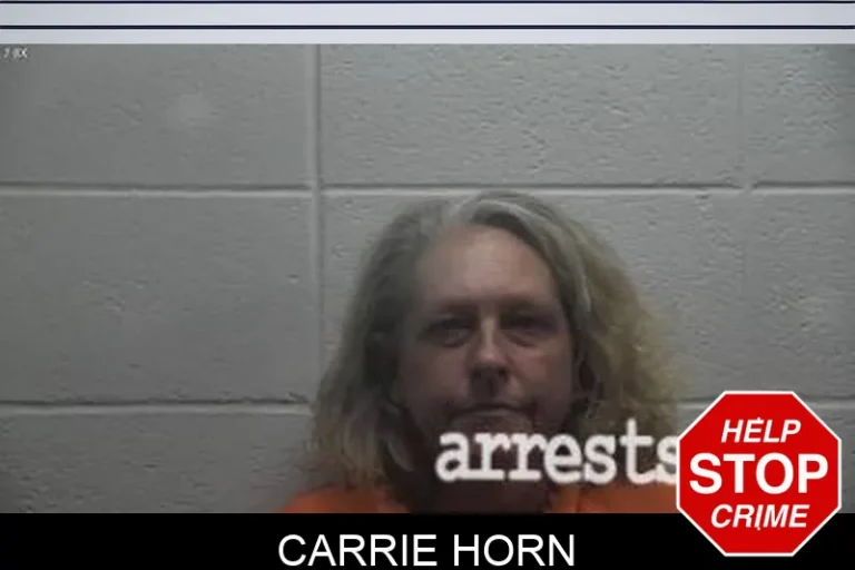Carrie Horn