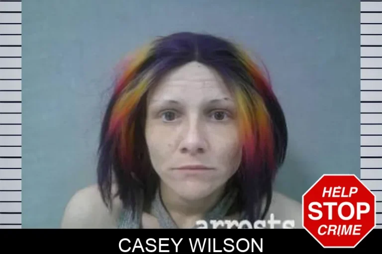 Casey Wilson
