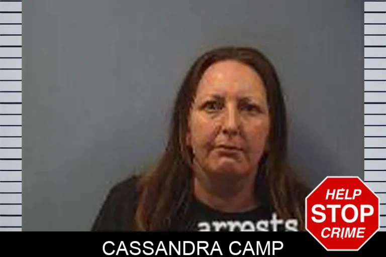 Cassandra Camp