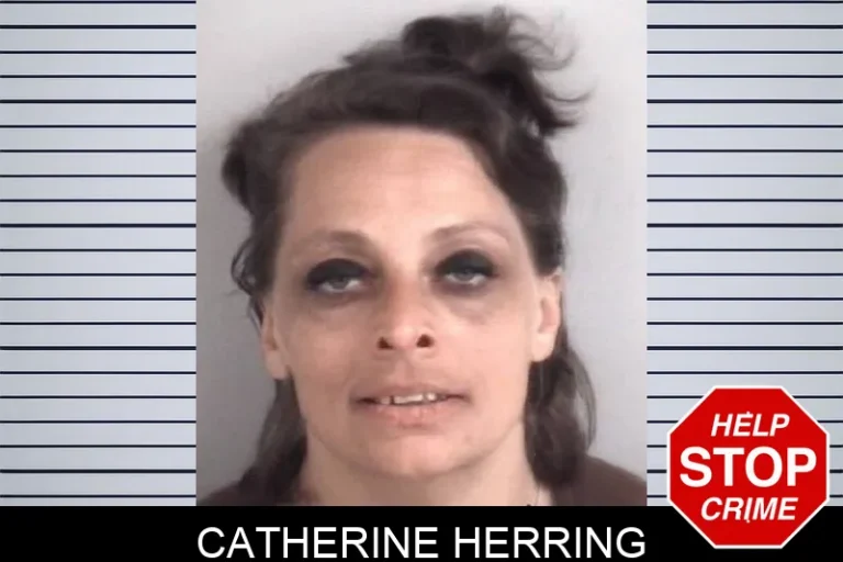 Catherine Herring