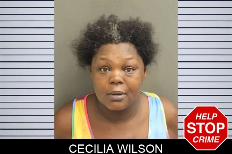 Cecilia Wilson