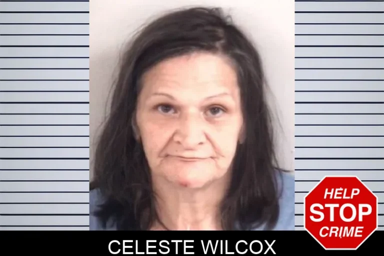 Celeste Wilcox