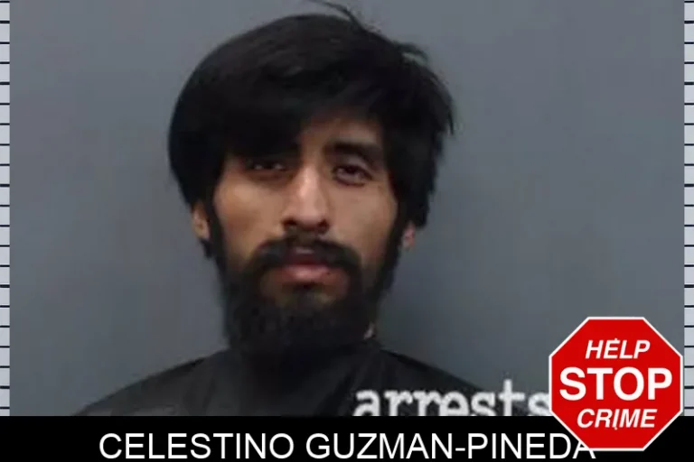 Celestino Guzman-Pineda