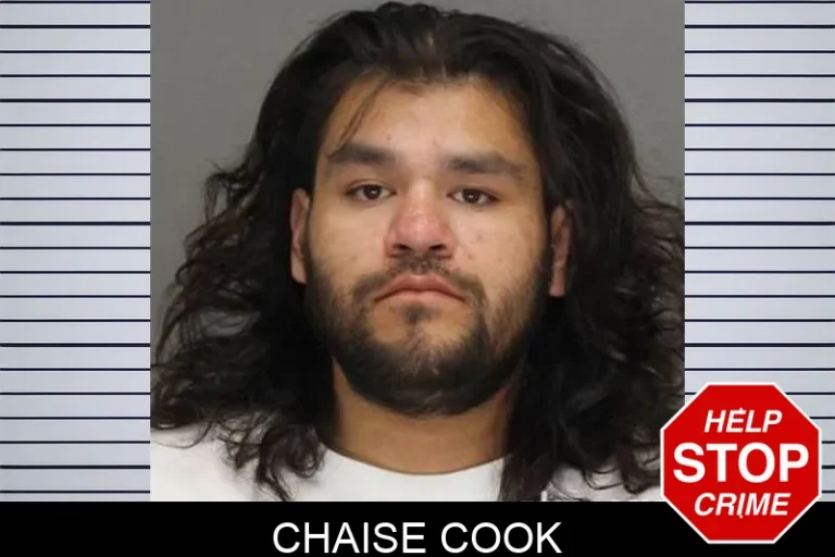 Chaise Cook