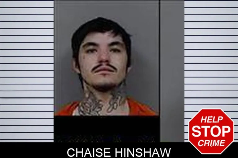 Chaise Hinshaw