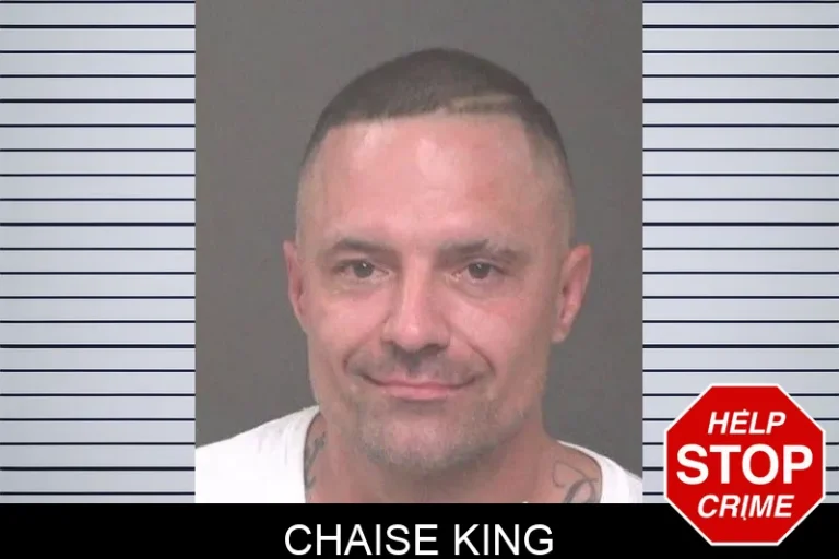 Chaise King