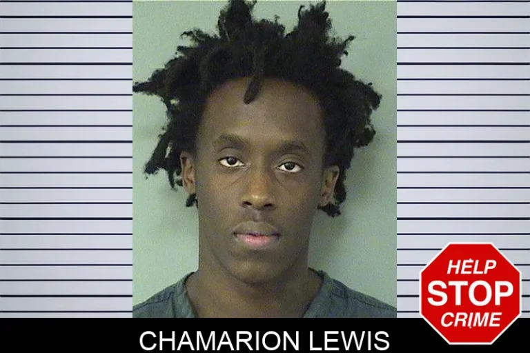 Chamarion Lewis