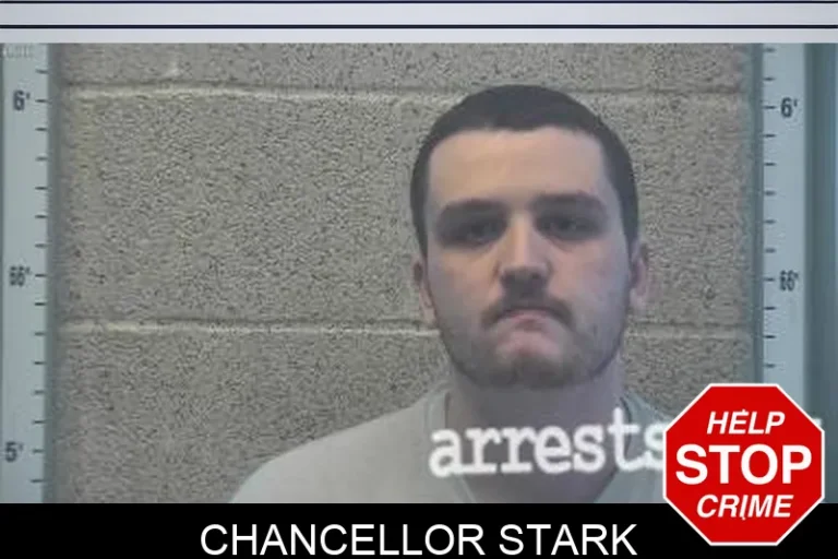 Chancellor Stark