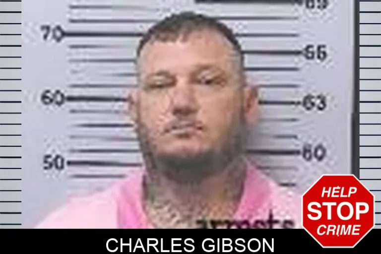 Charles Gibson